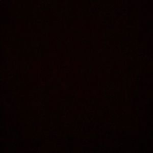 Meet your Posher, Lilly